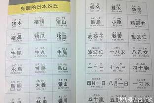 日本姓小野,探寻日本姓氏背后的故事与传承