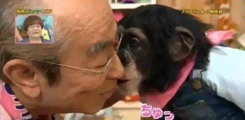 祖孙恋AV,揭秘祖孙恋AV的隐秘世界