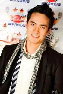 哈萨克斯坦的明星,璀璨星光下的民族骄傲