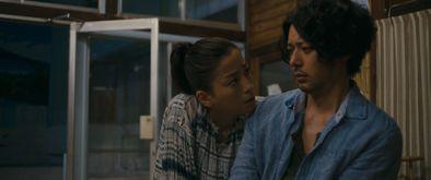 滚烫的爱免费观看完整