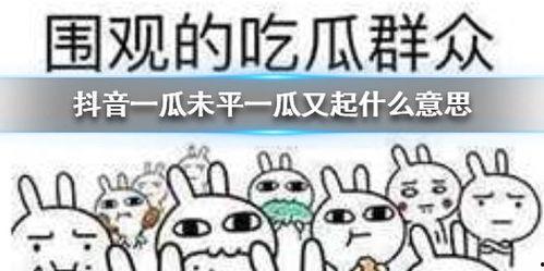 抖音吃瓜资源免费,免费资源带你畅享热门话题