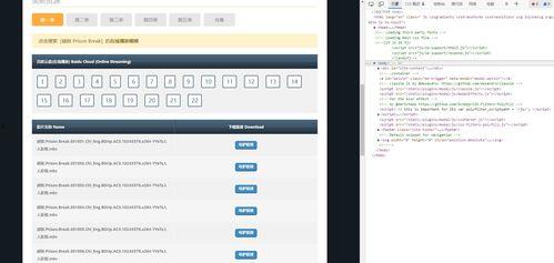 水多无码下载链接,揭秘海量资源背后的秘密